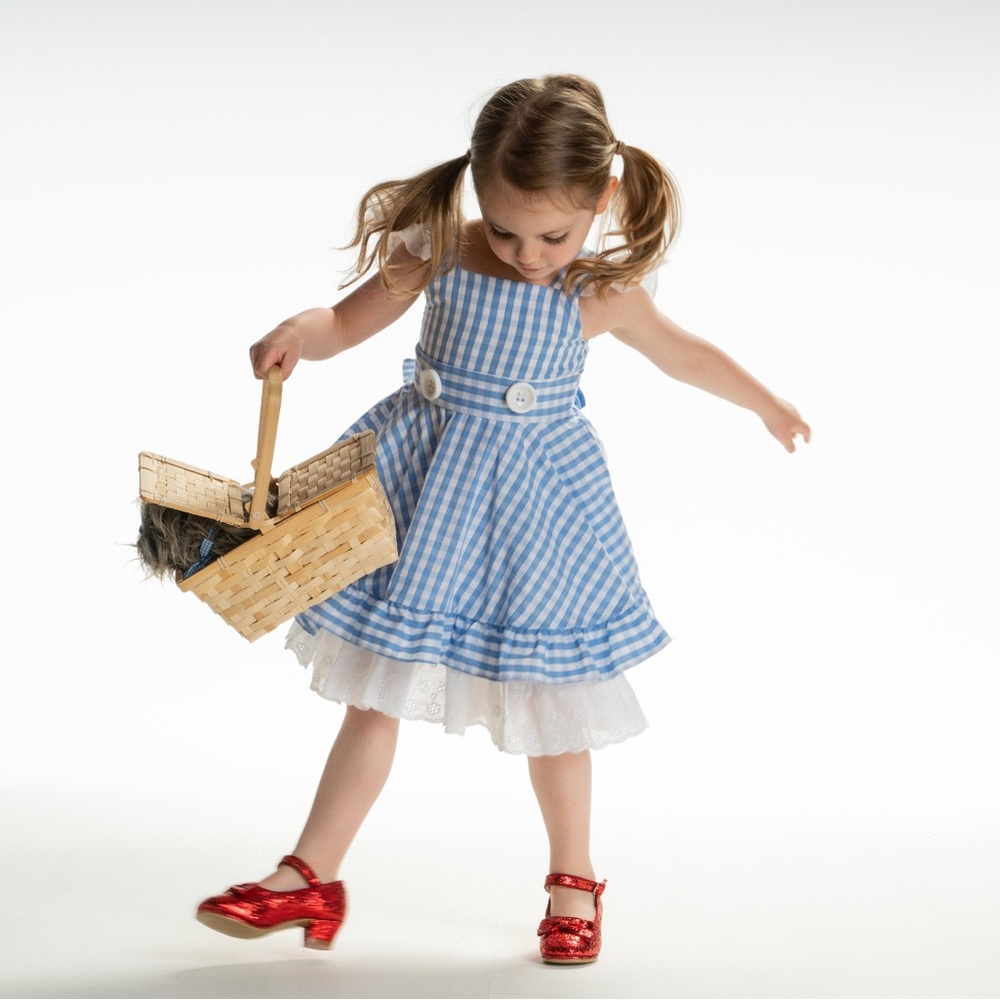 Dorothy costume girl size 2T WITH basket AND dog!